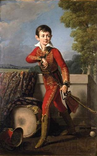 Robert Lefevre Portrait of Anatole Demidoff (1813-1870) Norge oil painting art